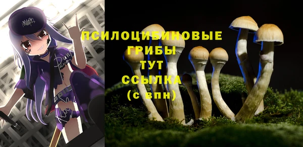 дживик Куйбышев