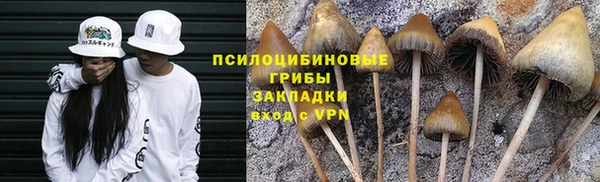 скорость Кукмор