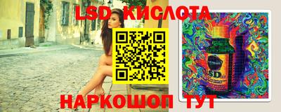 СК Кингисепп