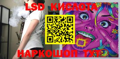 СК Кингисепп