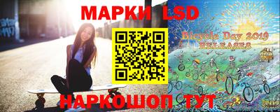 СК Кингисепп