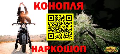 СК Кингисепп