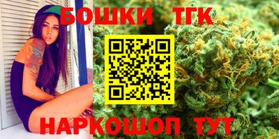СК Кингисепп