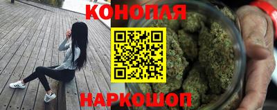 СК Кингисепп