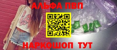 СК Кингисепп
