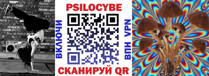 mega   Северск  Псилоцибиновые грибы мицелий 