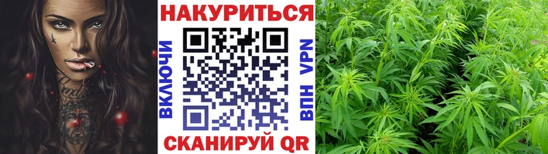 Бошки марихуана Amnesia Северск