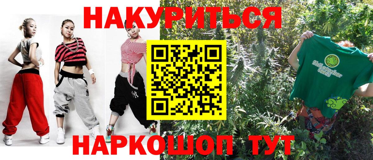 МЕФ Северск
